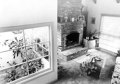 Den with fireplace